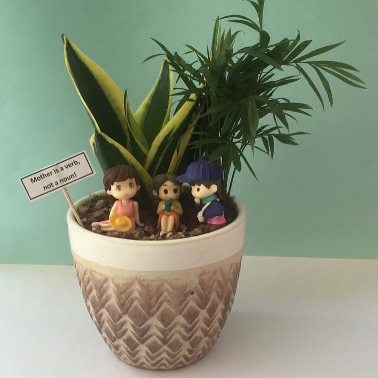 picnic, mom, mother, maa, pyari, bamboo palm, sansevieria