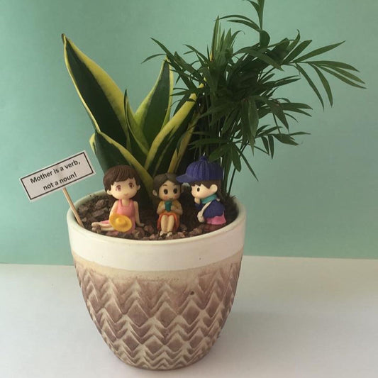 picnic, mom, mother, maa, pyari, bamboo palm, sansevieria