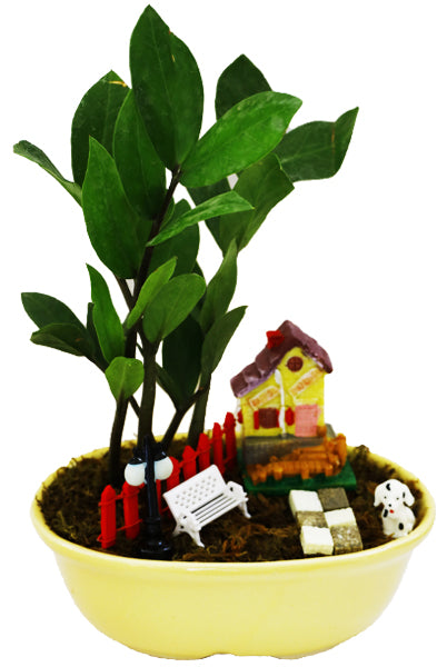 DIY - Home Plant Tray