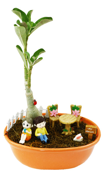 DIY - Garden Plant Tray
