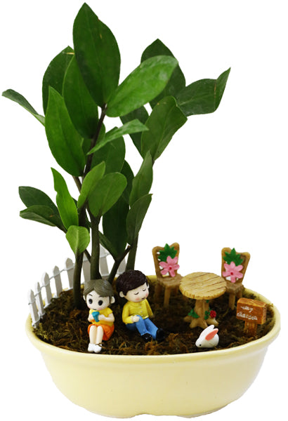 DIY - Garden Plant Tray