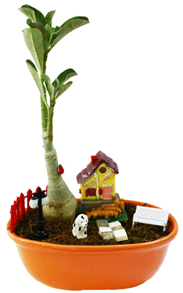 DIY - Home Plant Tray