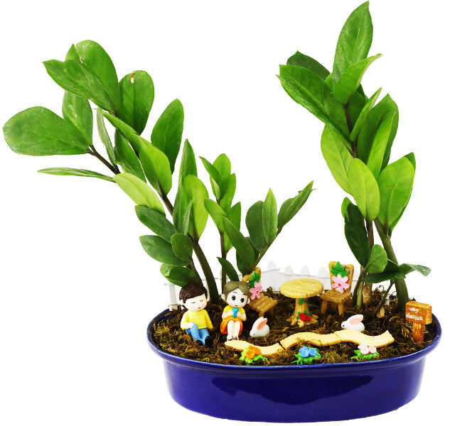 DIY - Garden Plant Tray