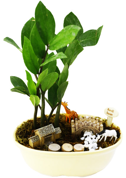 DIY - Forresta Plant Tray