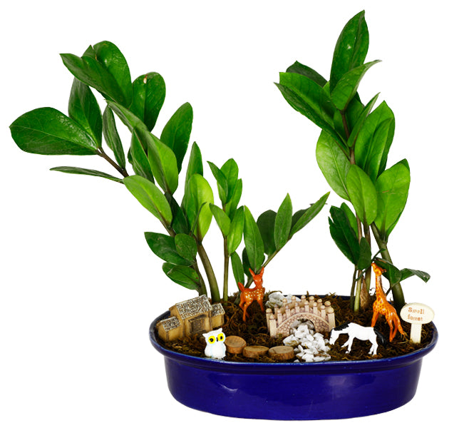 DIY - Forresta Plant Tray