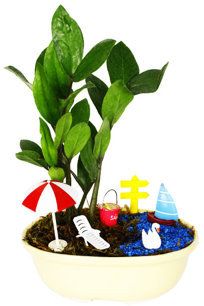 DIY - Lake Plant Tray