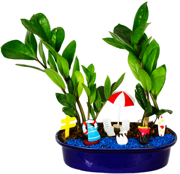 DIY - Lake Plant Tray