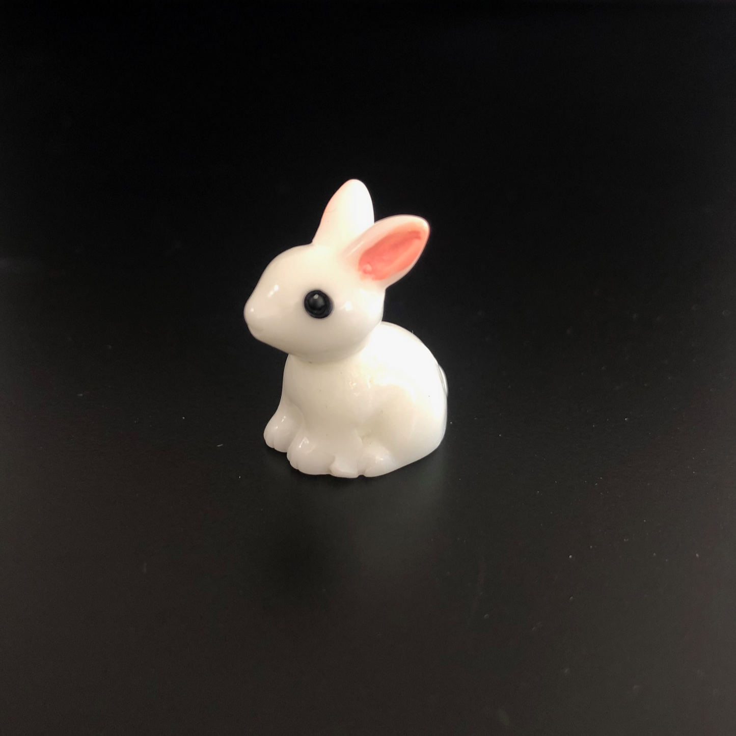 chhota khargosh, bunny, rabbit, hare