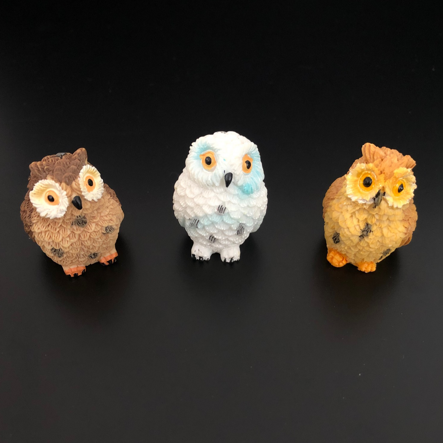 ullu, owl, lucky, luck, good luck
