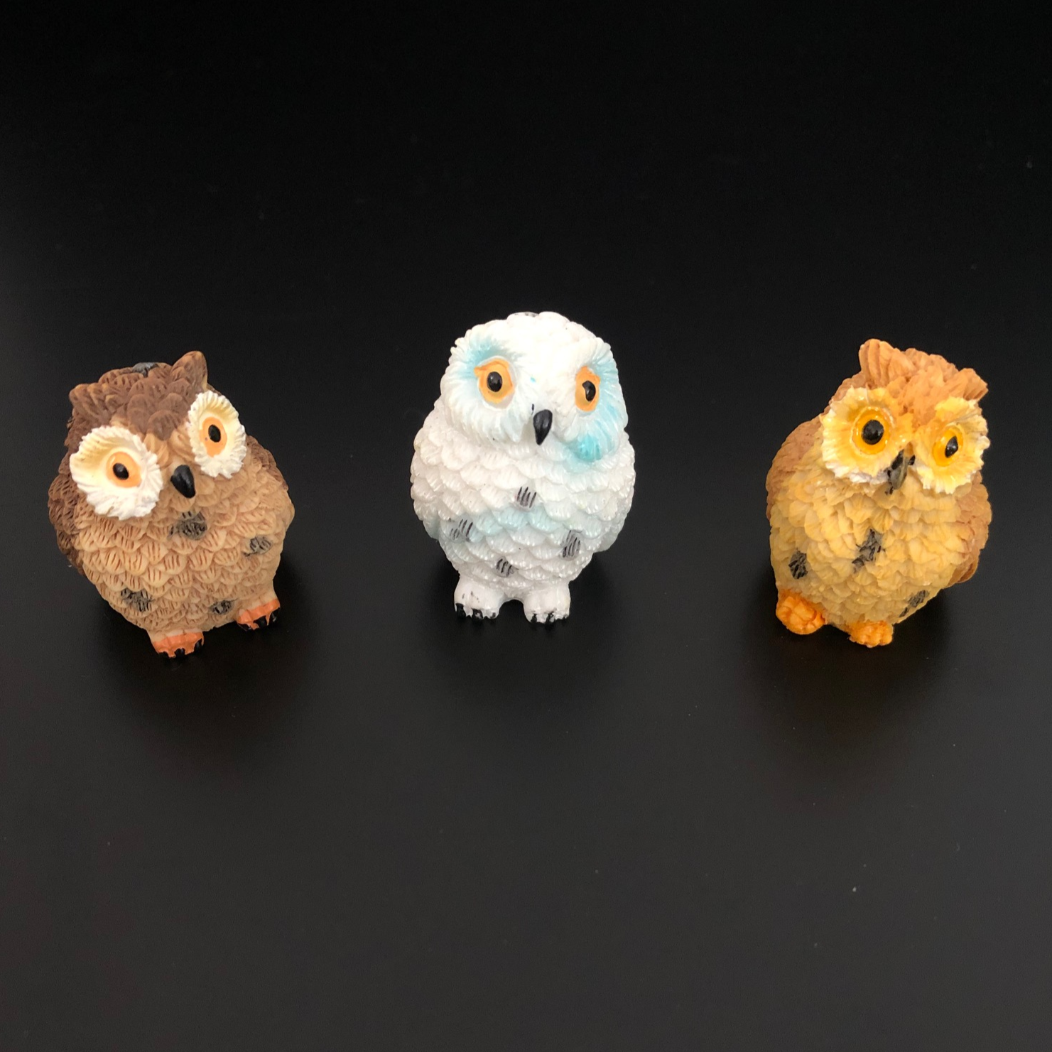 ullu, owl, lucky, luck, good luck