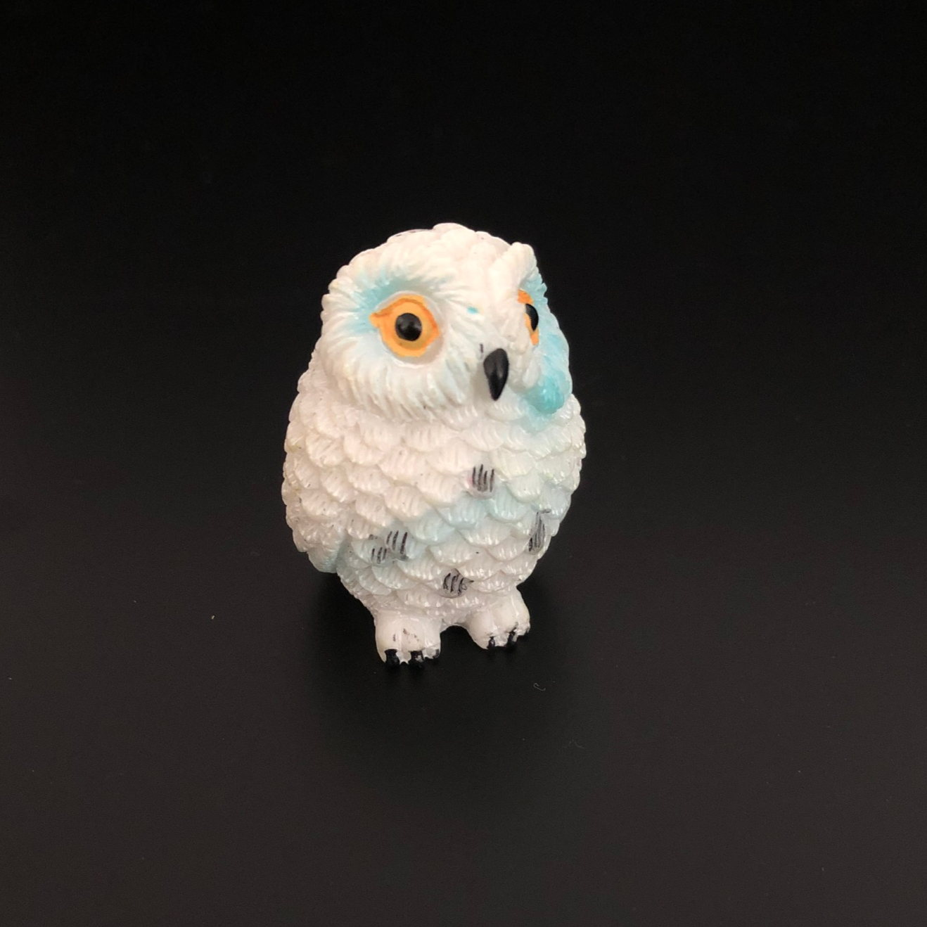 ullu, owl, lucky, luck, good luck