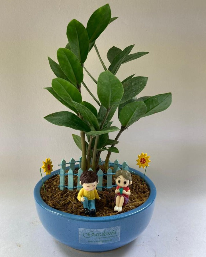 zamia, girl, boy, sitting,