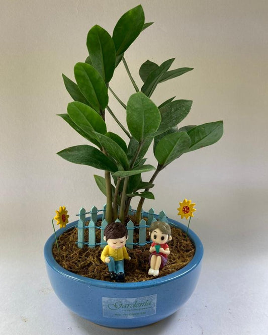 zamia, girl, boy, sitting,