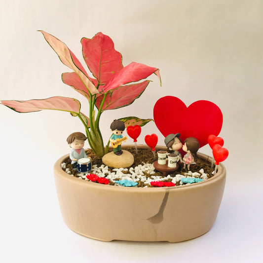 aglaonema, hearts, musical date, guitar, drums