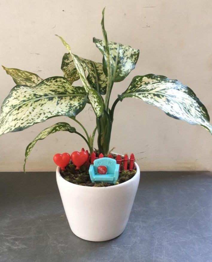 under, aglaonema, canopy