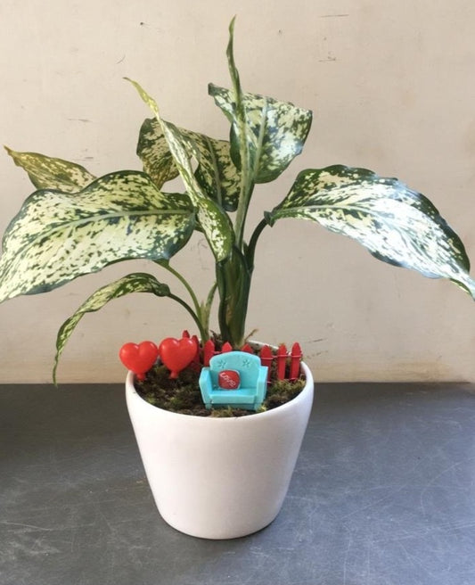 under, aglaonema, canopy