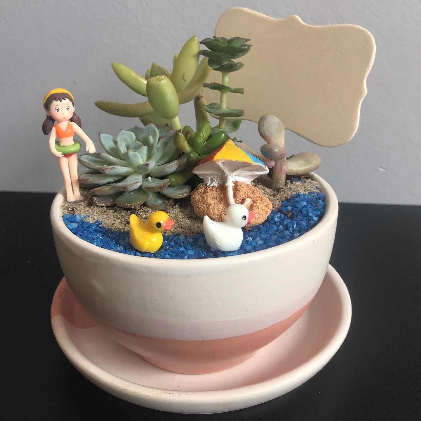 girl, beach, colorful, succulents