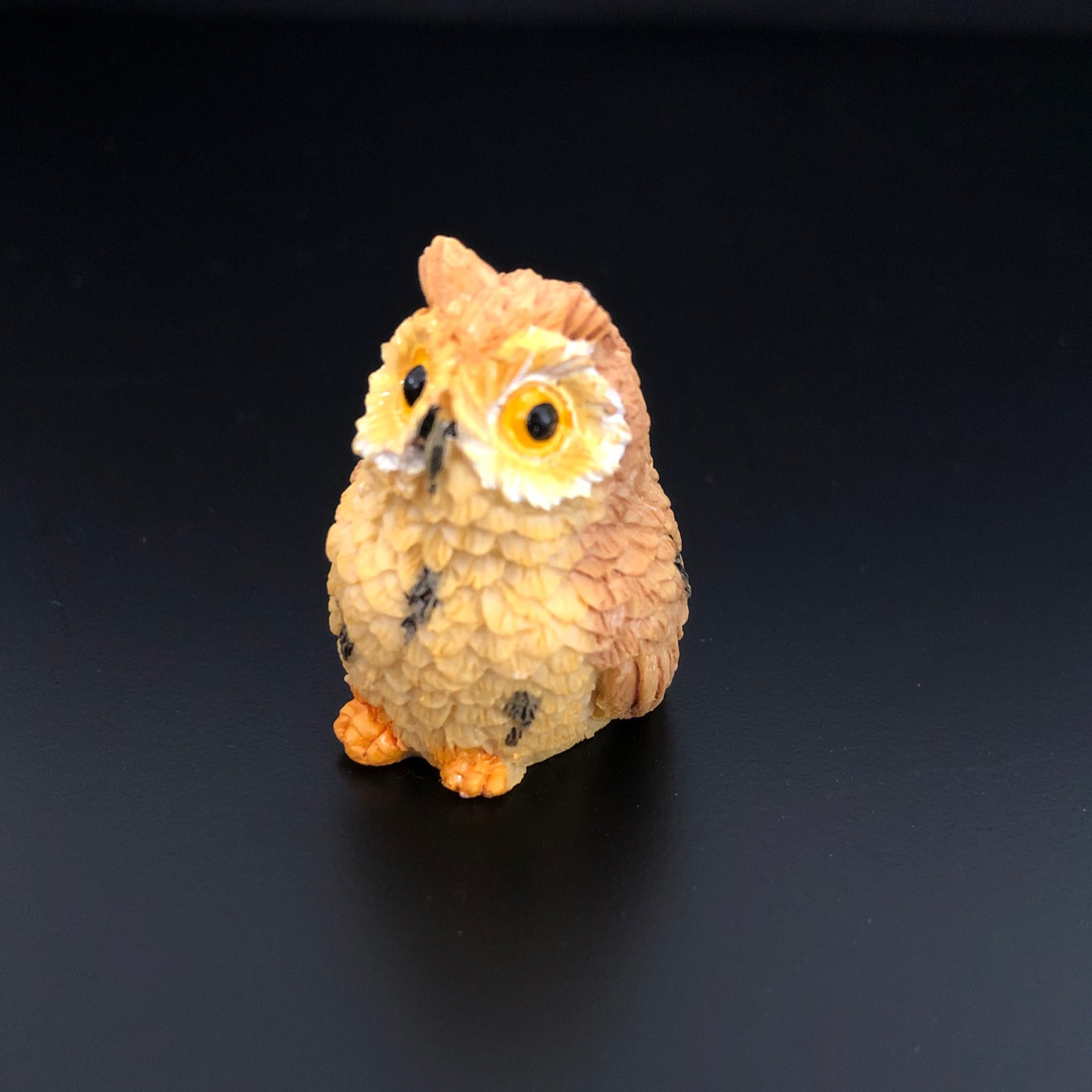ullu, owl, lucky, luck, good luck