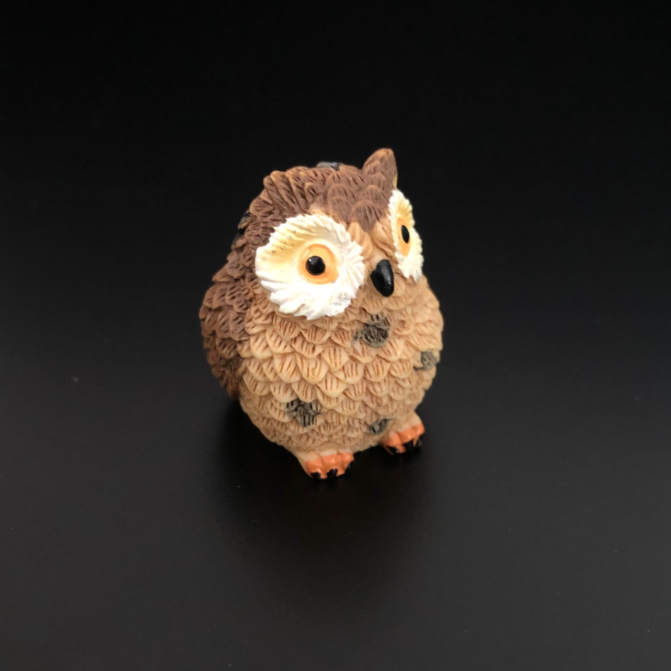 ullu, owl, lucky, luck, good luck