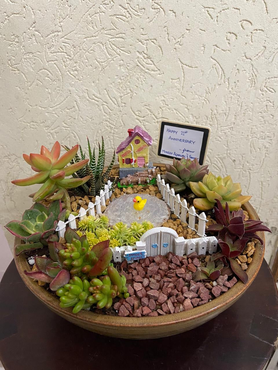 succulent tray garden A Home For My Heart – Gardenia Jaipur