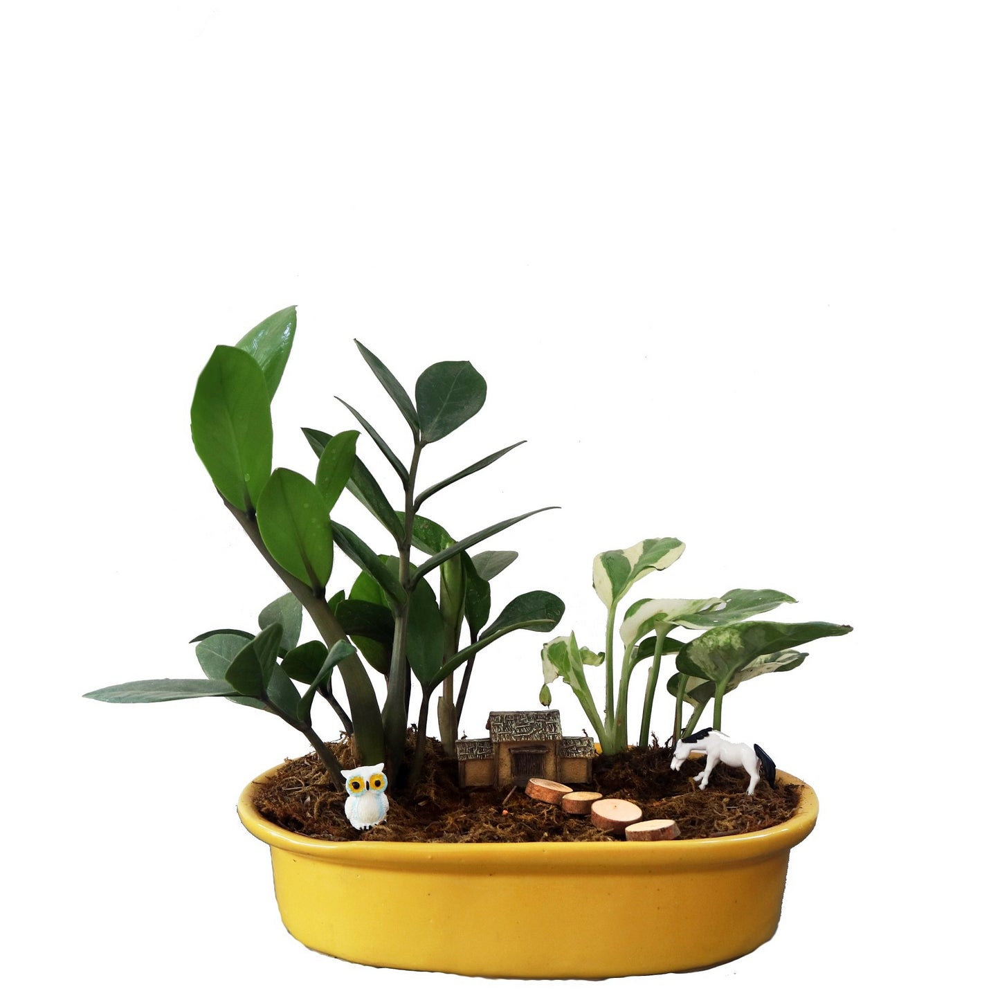 DIY - Forresta Plant Tray