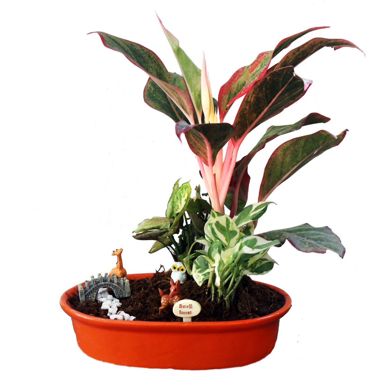 DIY - Forresta Plant Tray