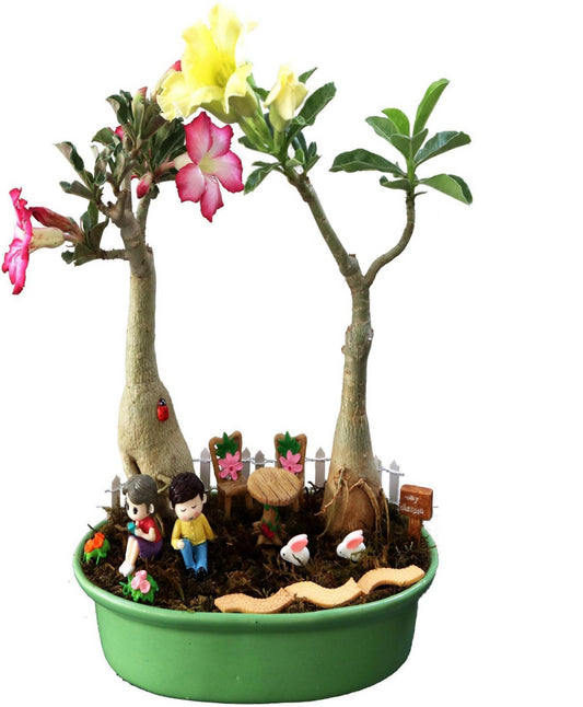 DIY - Garden Plant Tray