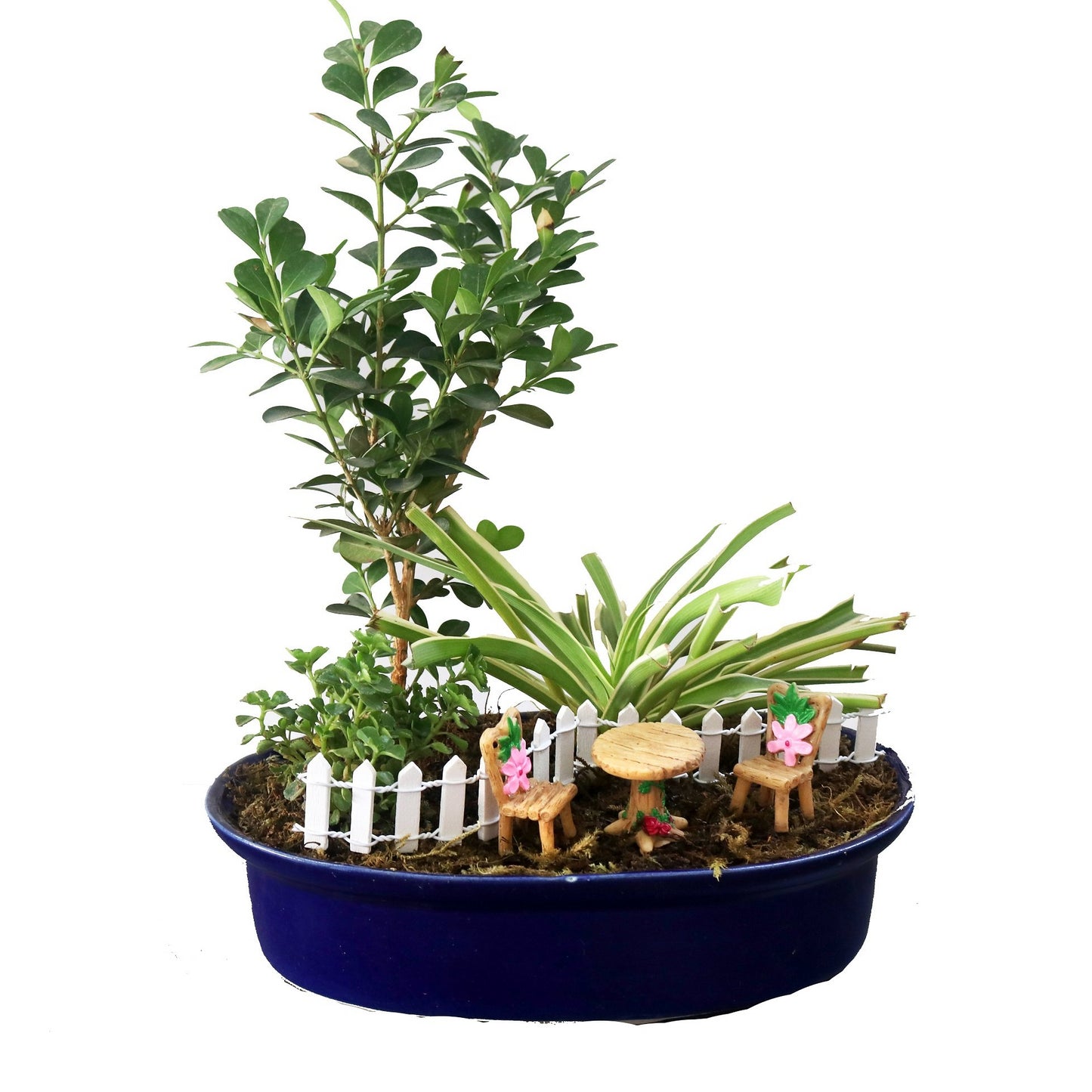DIY - Garden Plant Tray