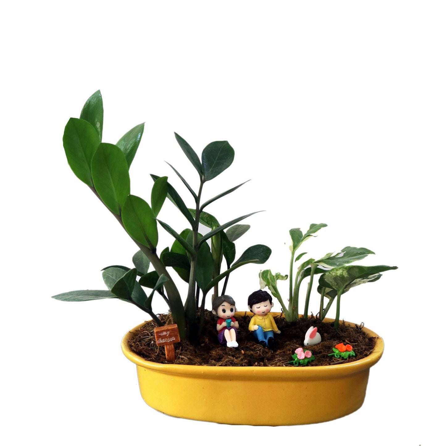 DIY - Garden Plant Tray