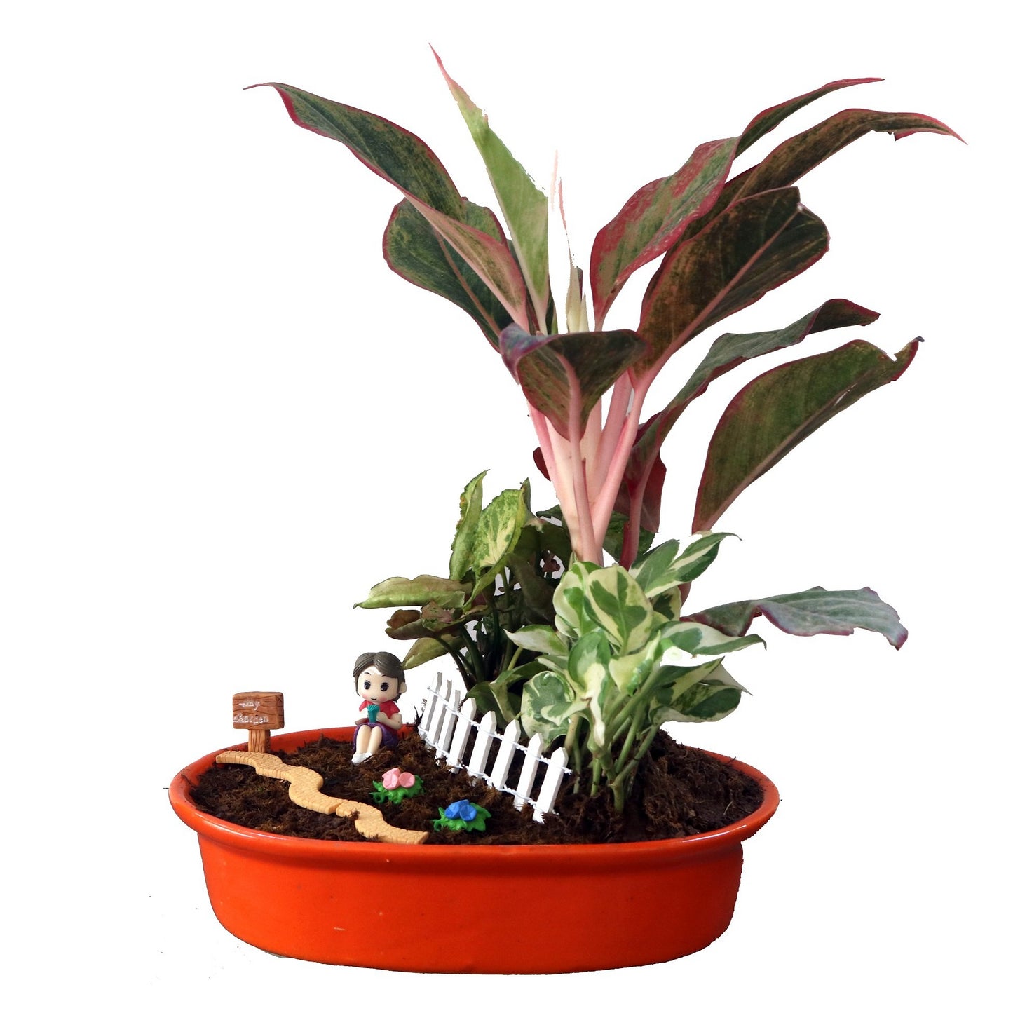DIY - Garden Plant Tray