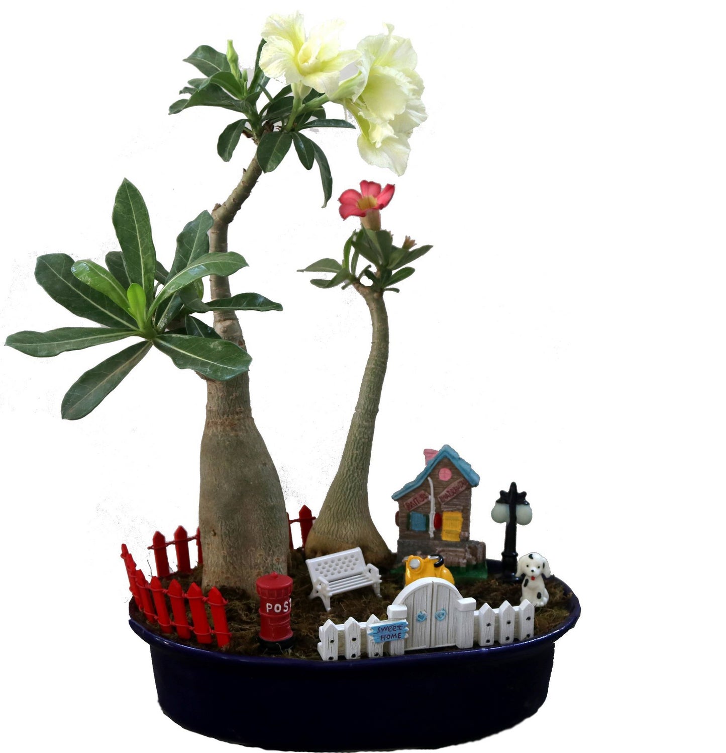 DIY - Home Plant Tray