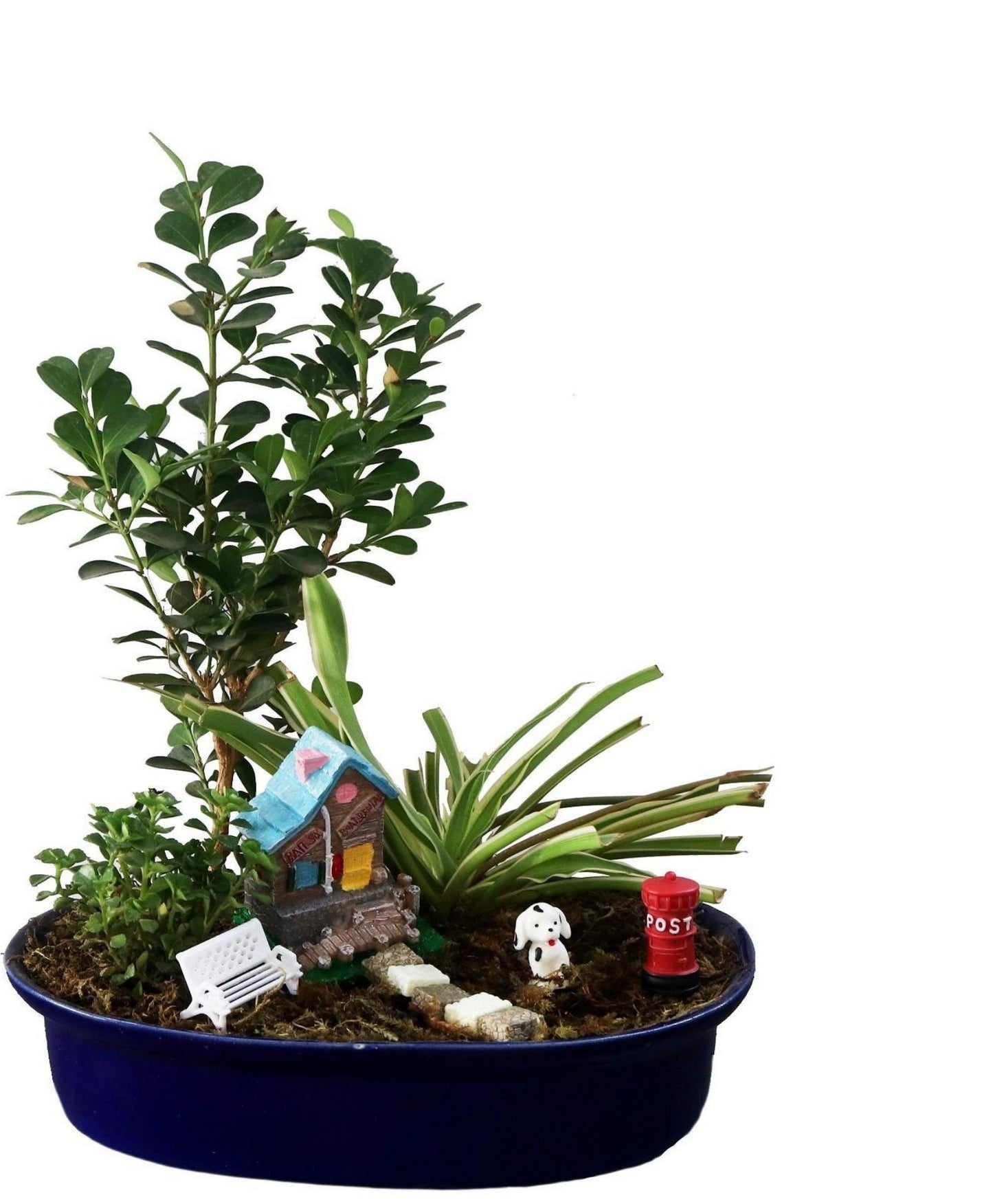 DIY - Home Plant Tray