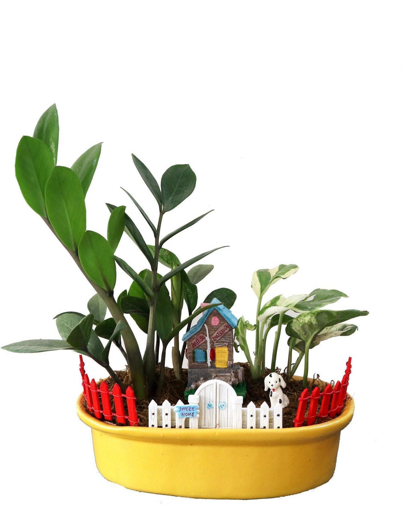 DIY - Home Plant Tray