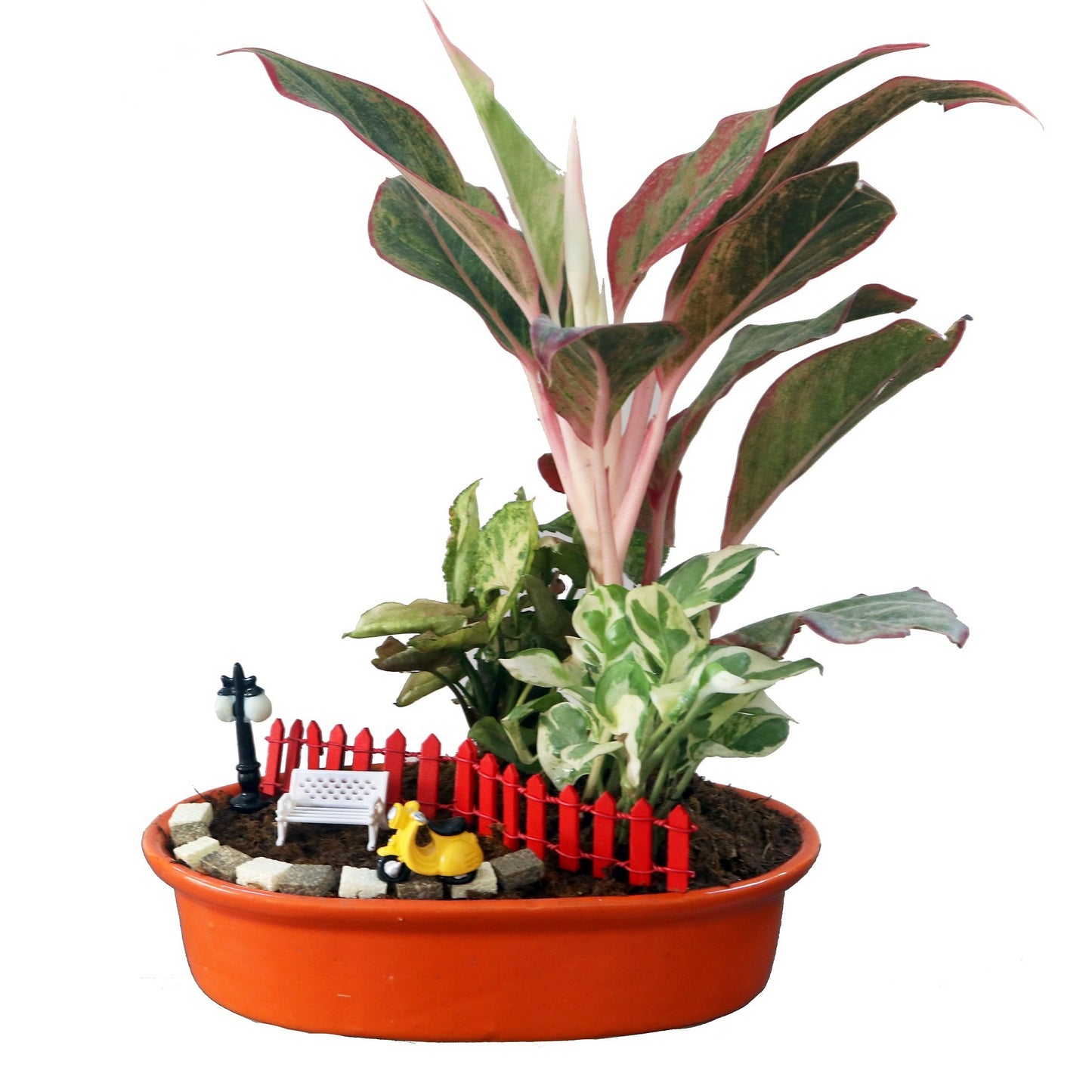 DIY - Home Plant Tray