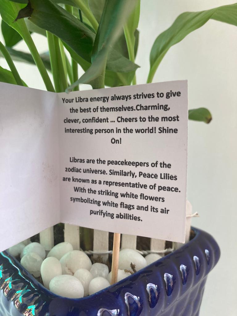 Peace Lily for Libra/Tula Raashi