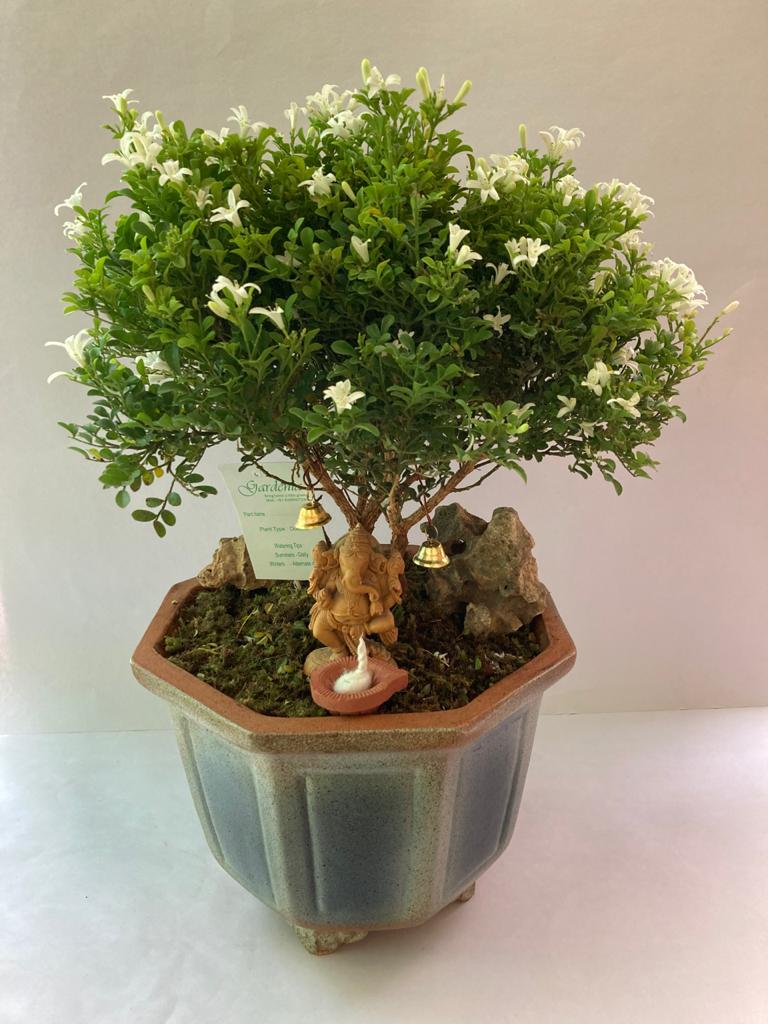 The Sacred Tree