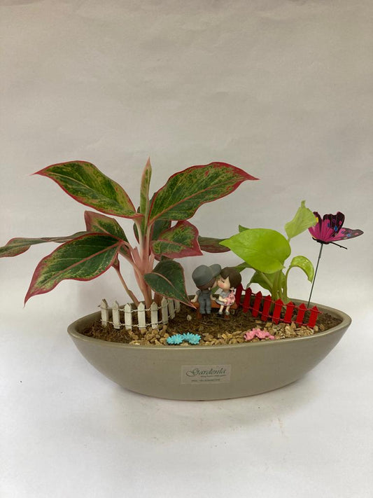 marble queen pothos, aglaonema, lipstick, kissing, couple, lost in you