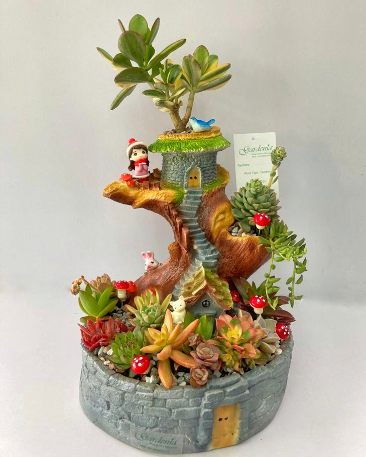 succulent, arid, water, storage, fleshy, tree house, bunny, cat, girl