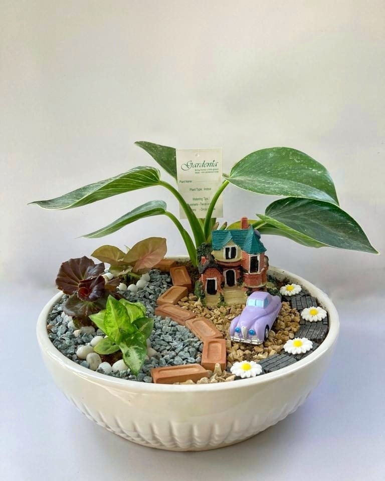 House Warming Tray