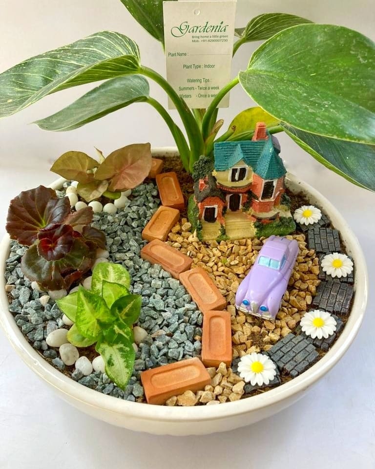 House Warming Tray