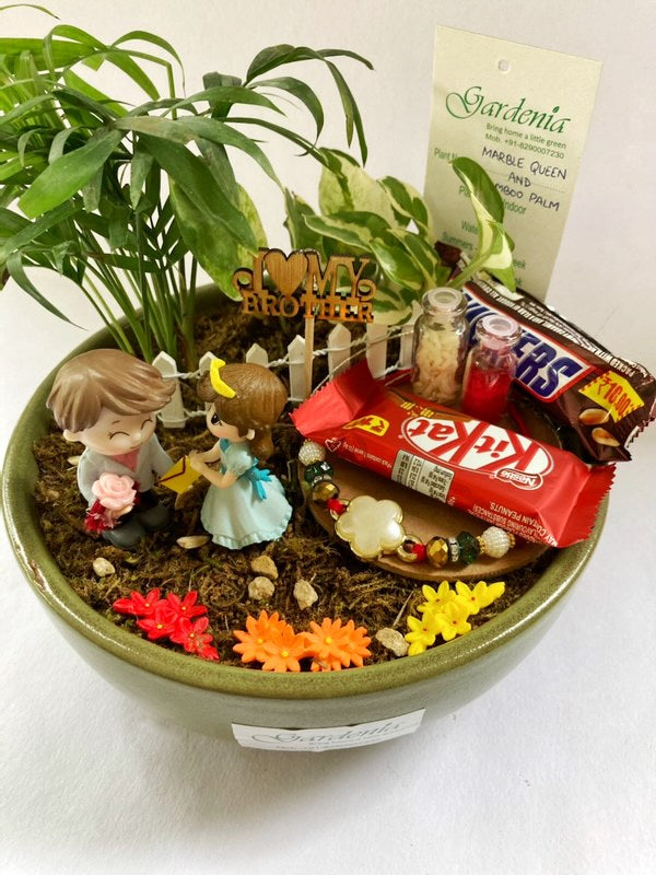 Rakhi Fiesta (Deluxe) tray