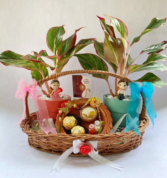 Rakhi hamper for bhaiya and bhabhi