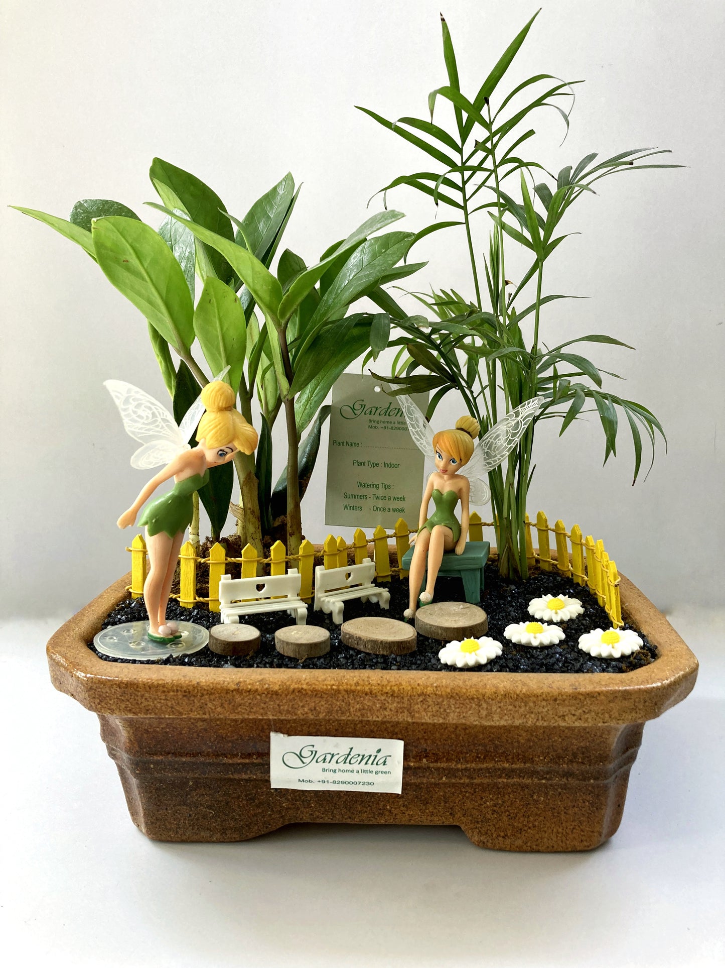 Tinkerbell Fairyland