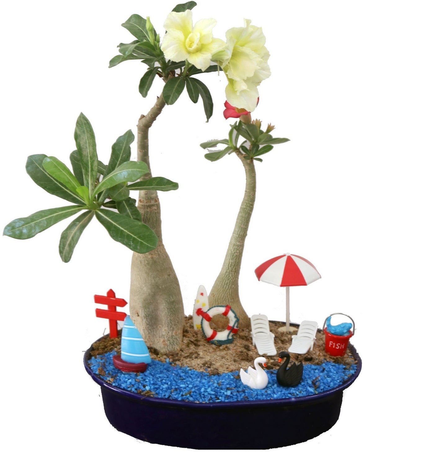 DIY - Lake Plant Tray