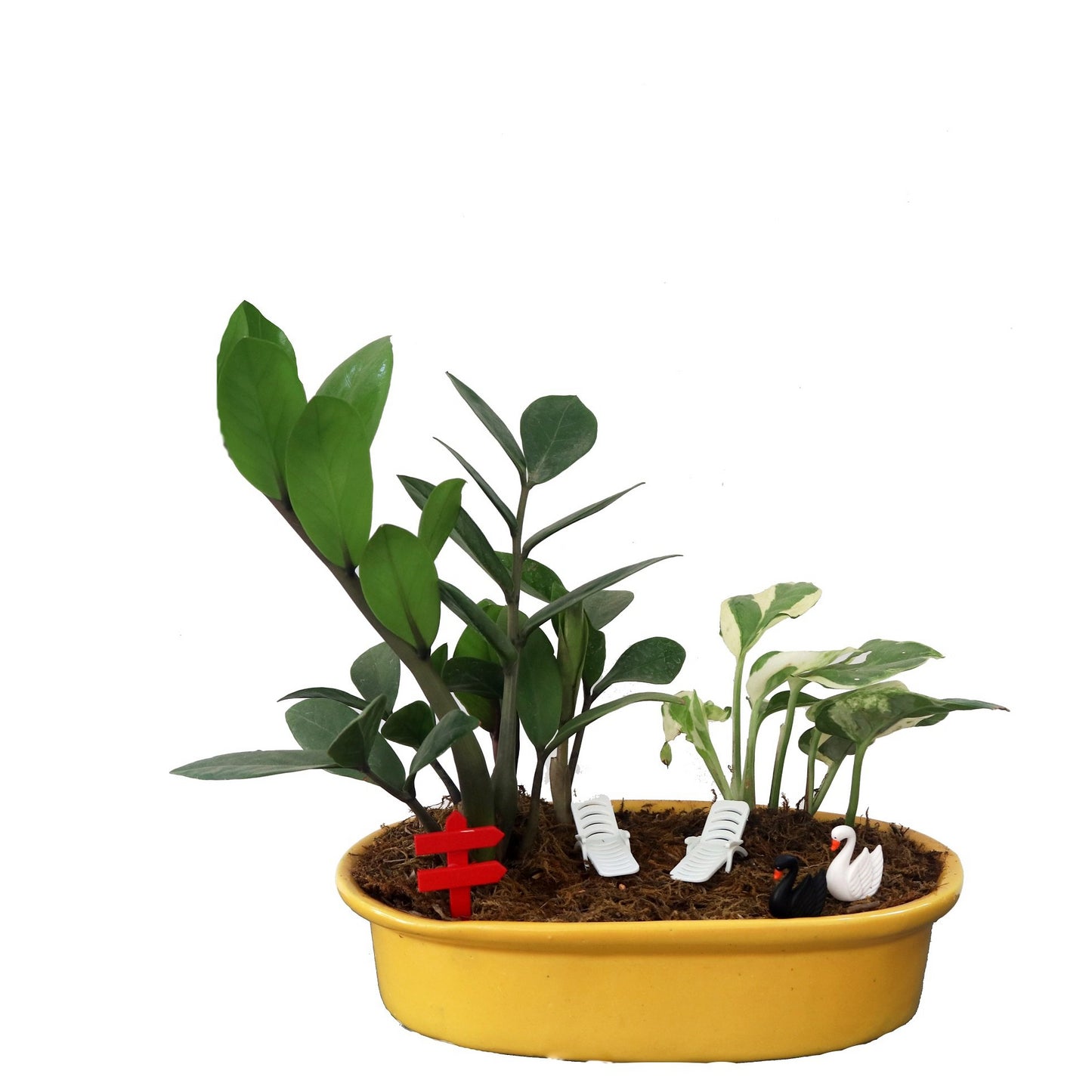 DIY - Lake Plant Tray