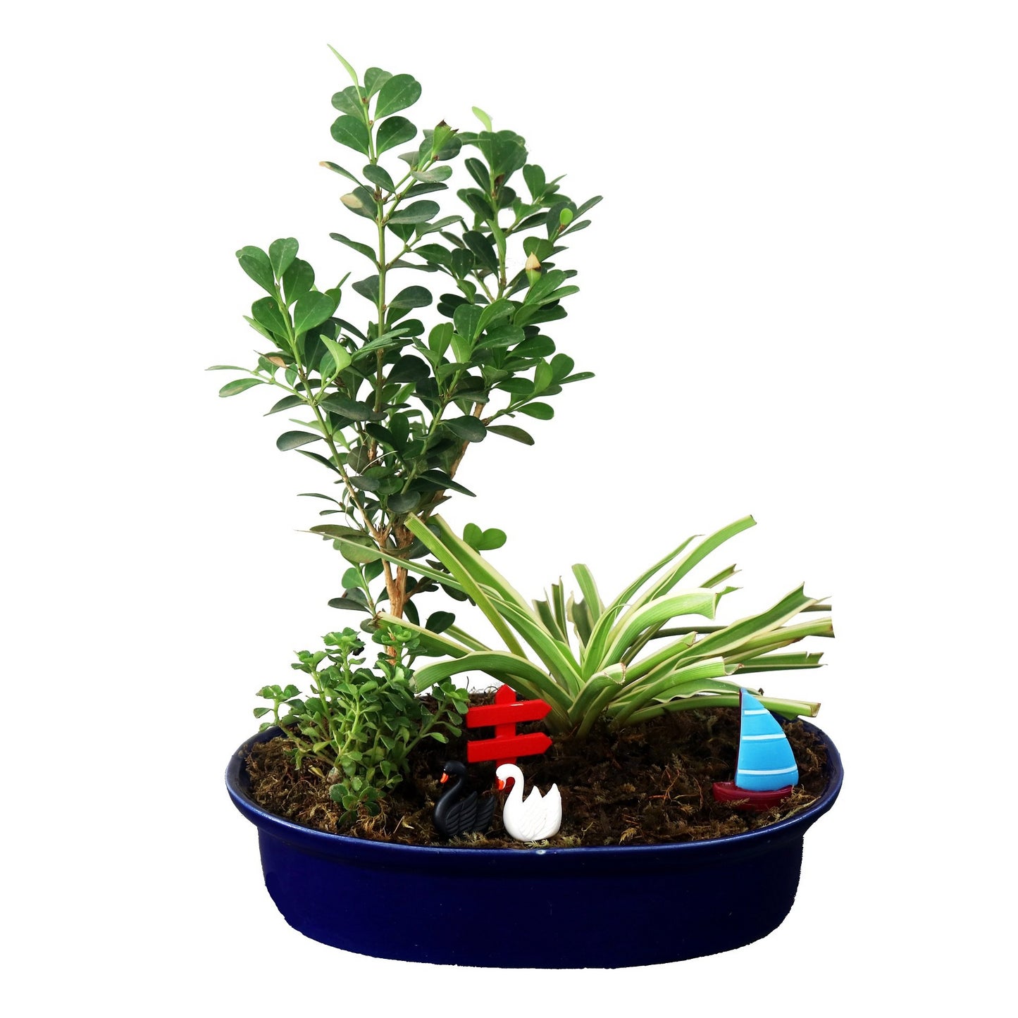 DIY - Lake Plant Tray