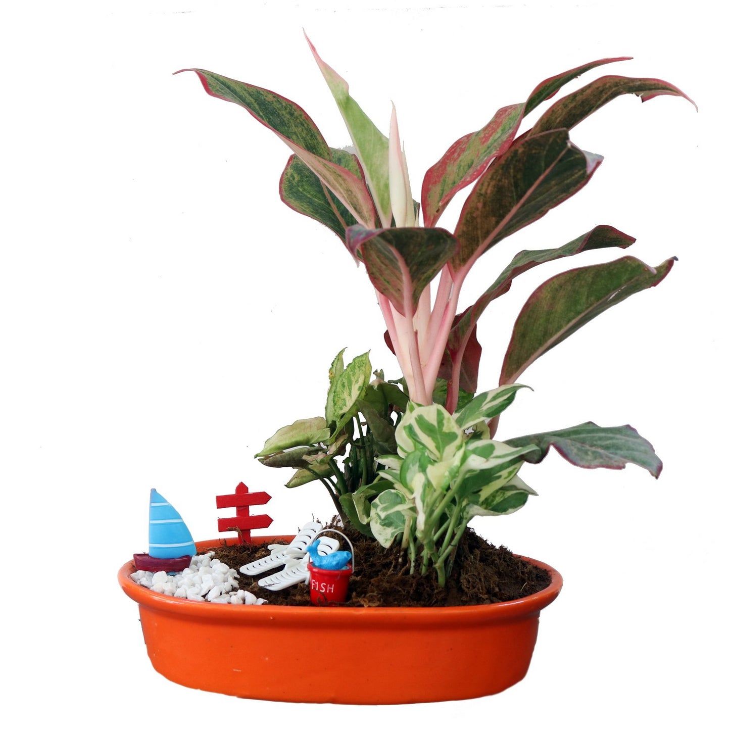 DIY - Lake Plant Tray