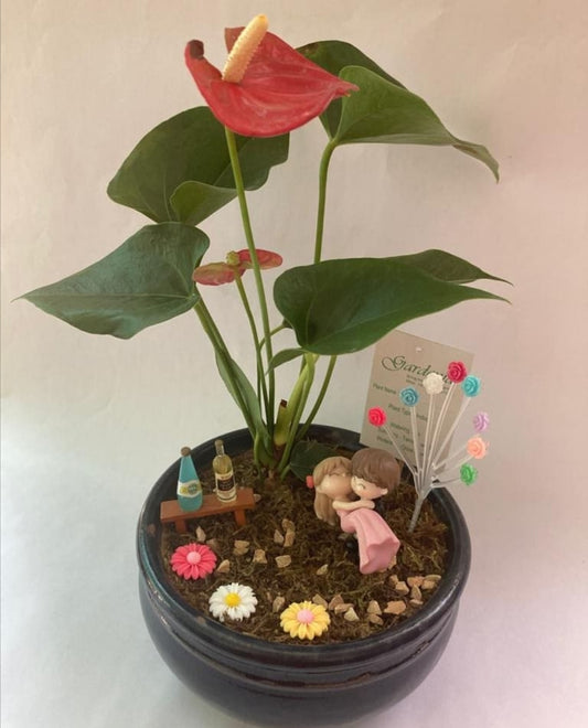 romantic, couple, fun, evening, enjoy, anthurium, party, celebration