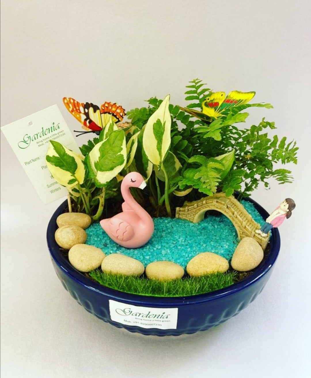 nature, park, swan, bridge, money plant, fern, serene calm