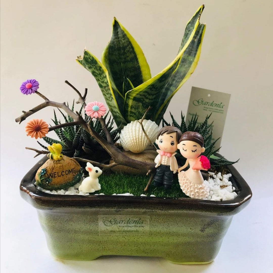 Married in Woods, snake plant, sansevieria, mother-in-law's tongue, variegated